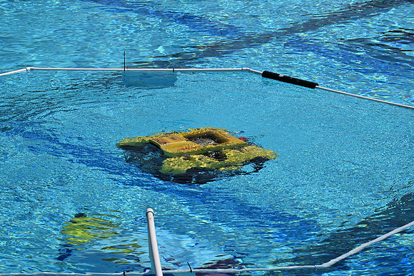 DSC_2227