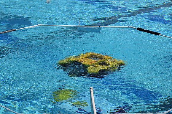 DSC_2226